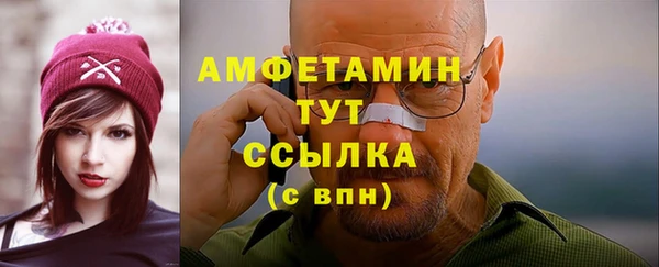 мдпв Инта