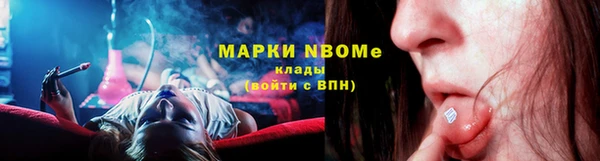 мдпв Инта