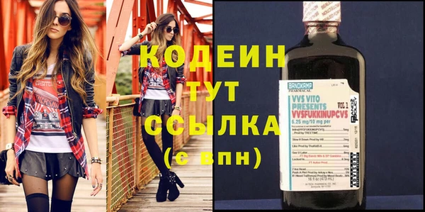 мдпв Инта