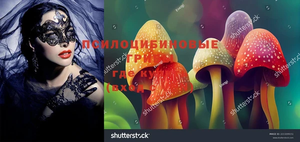 прущая мука Иннополис