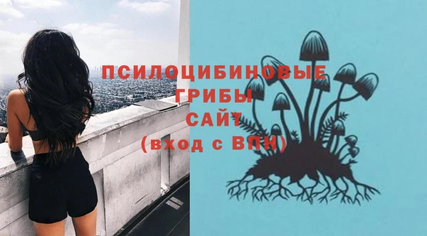 мдпв Инта